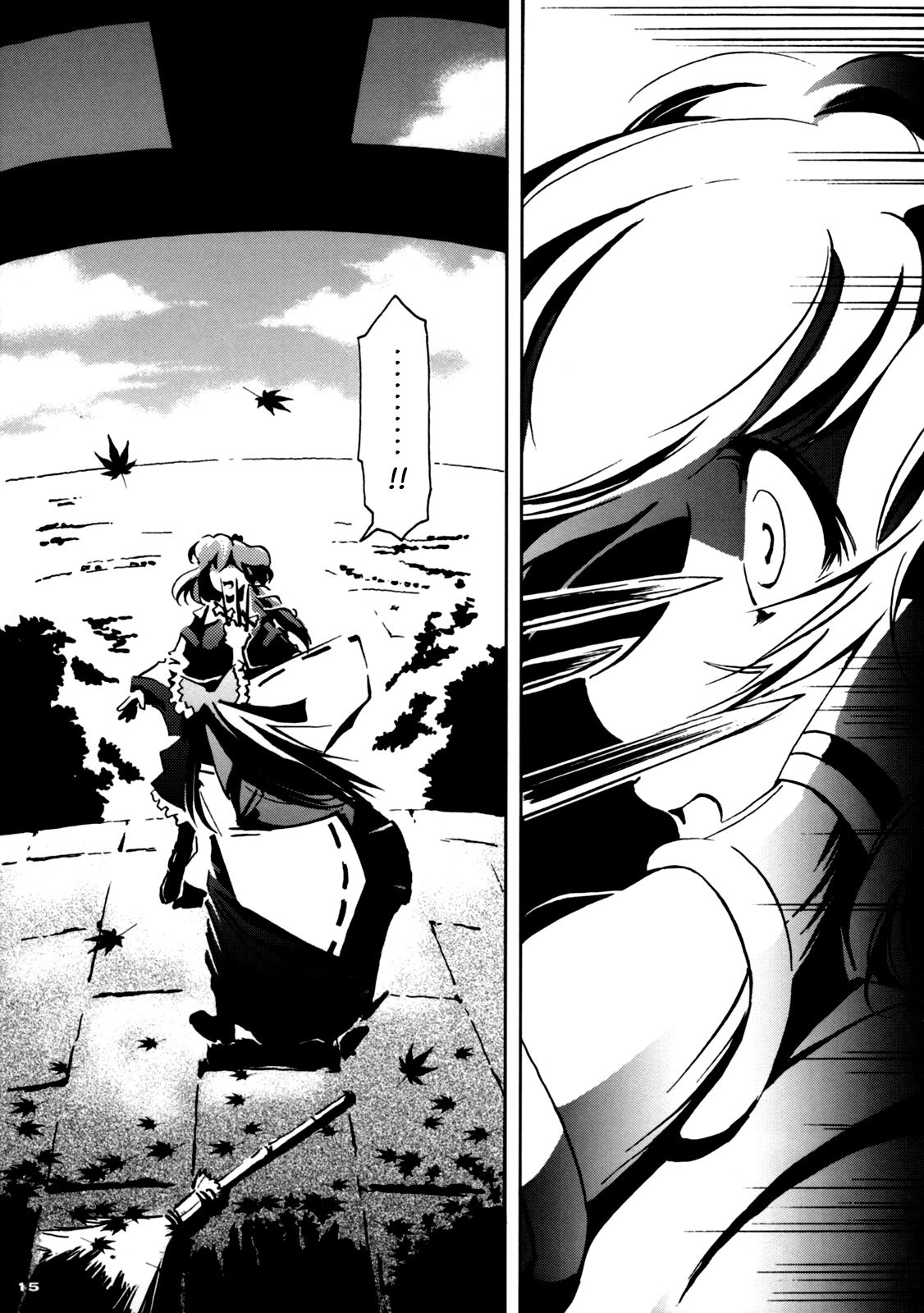 Touhou - 30 (Doujinshi) First Part 第14页
