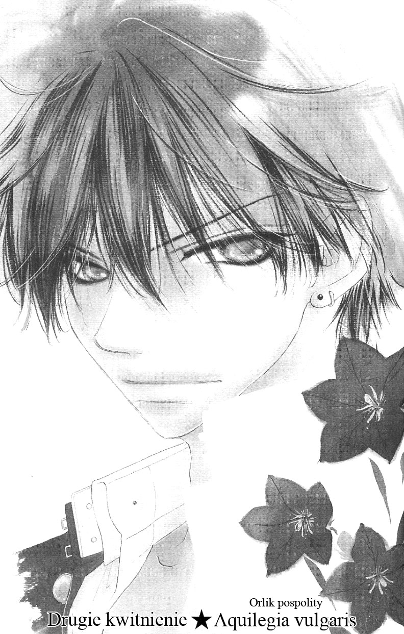 Kiss/Hug Aquilegia vulgaris (Orlik pospolity) 第1页