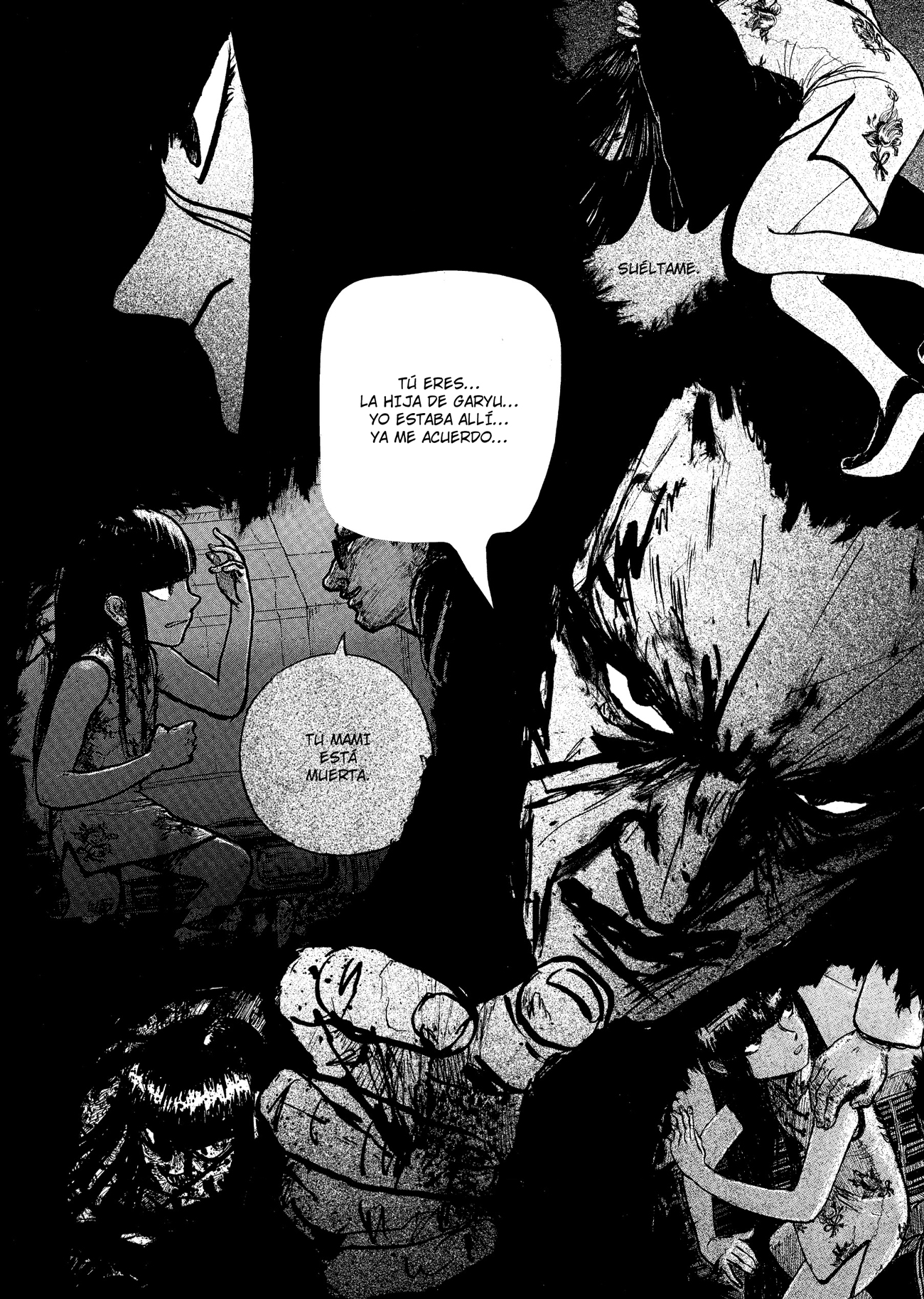Ryuko Chispa de Mar 第35页