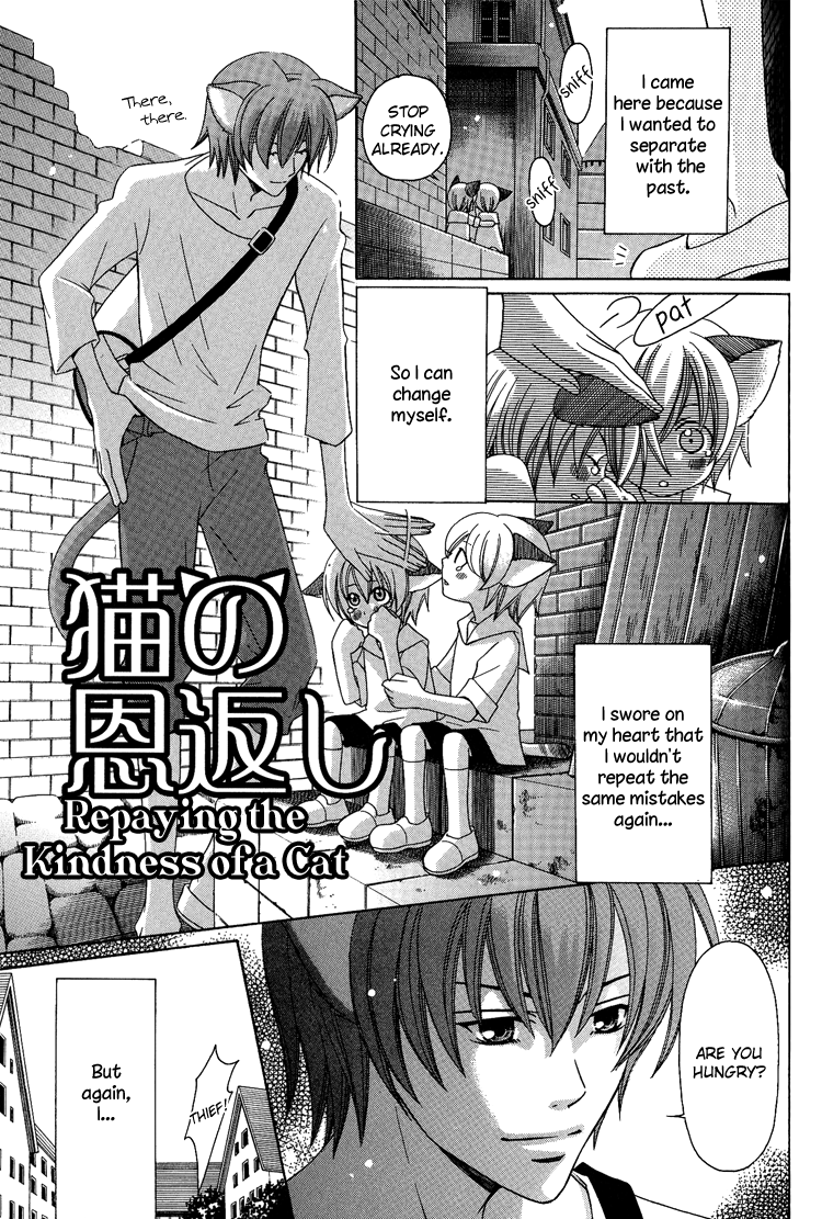 Neko no Yomeiri Vol. 1 Ch. 3 第1页