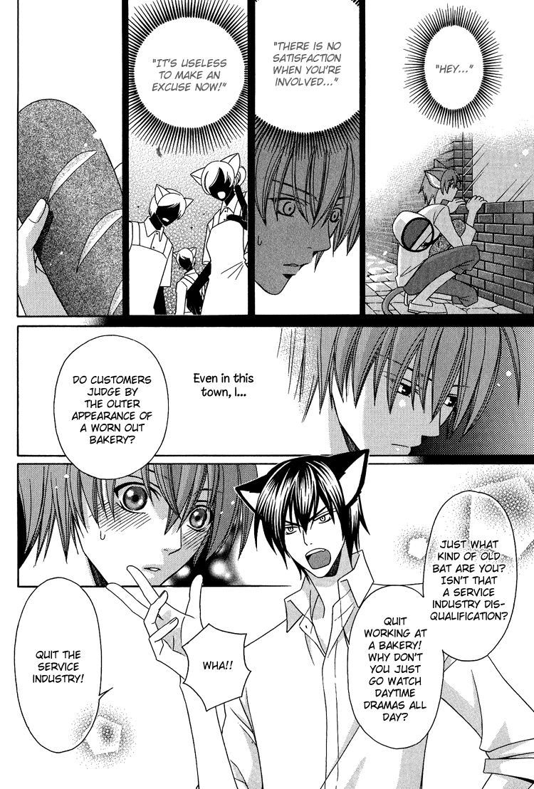 Neko no Yomeiri Vol. 1 Ch. 3 第12页