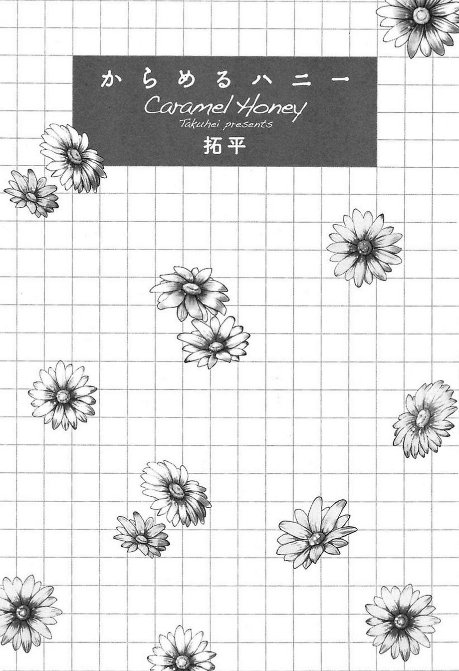 Caramel Honey 第3页