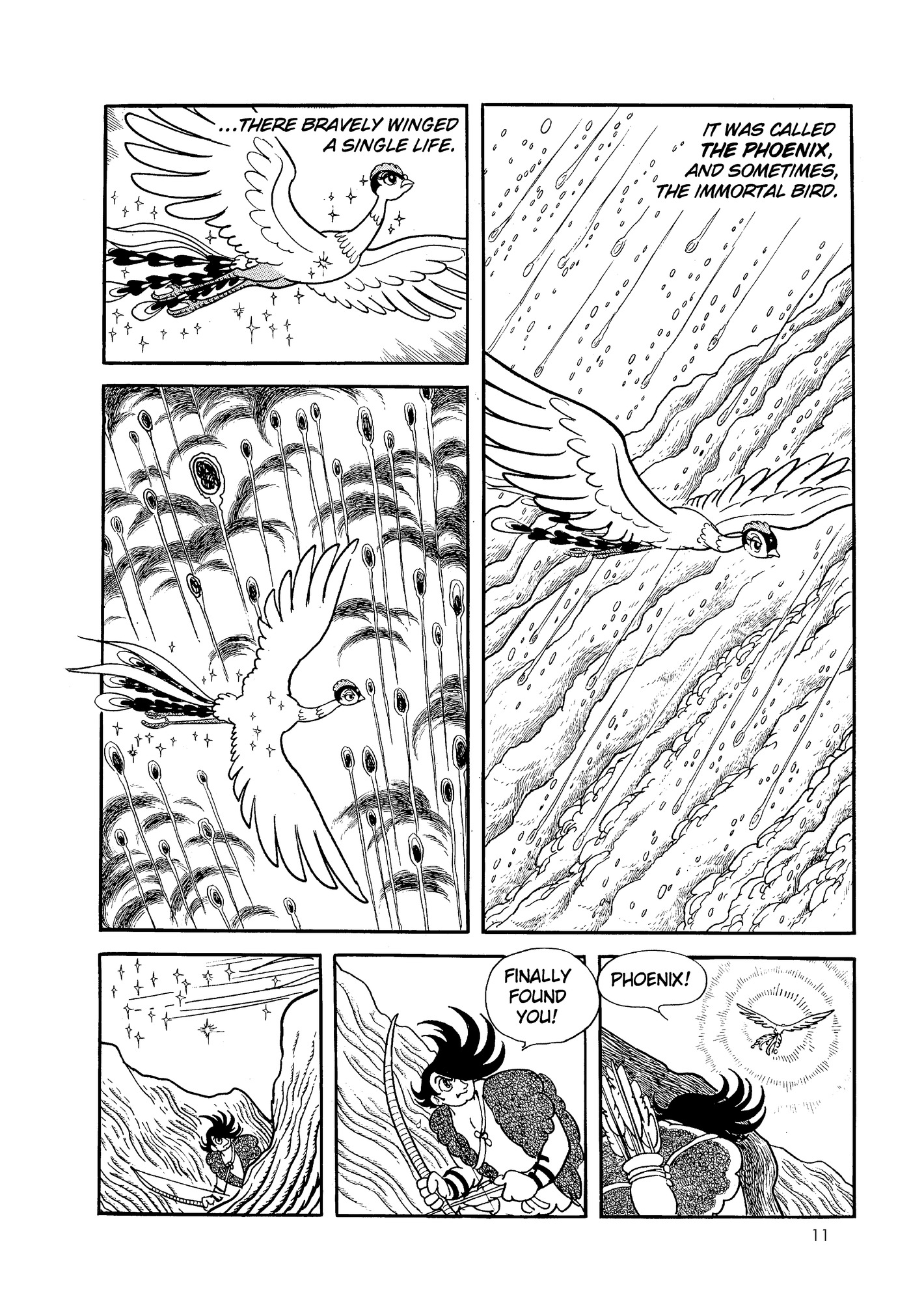 Phoenix DAWN 第12页