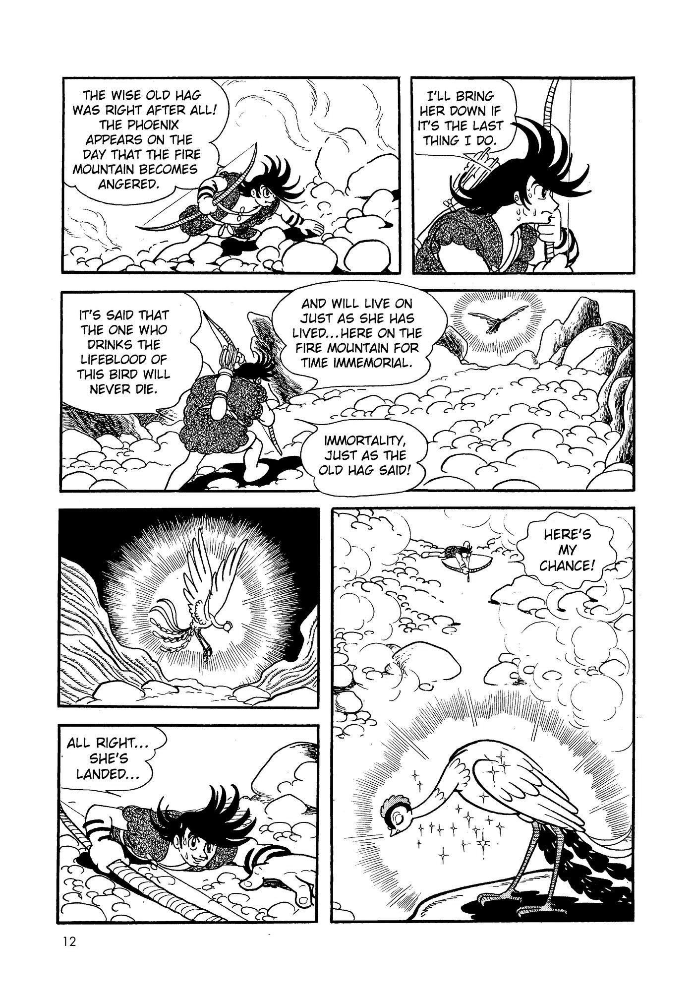 Phoenix DAWN 第13页