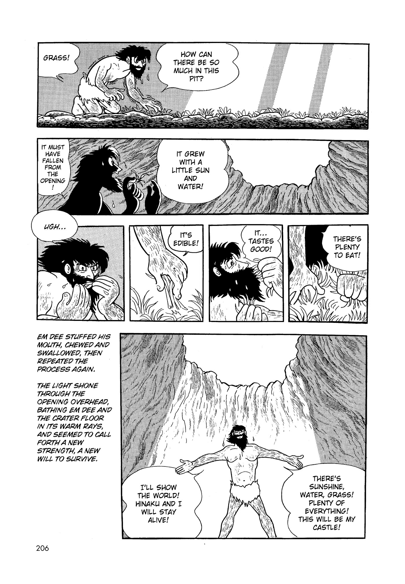 Phoenix DAWN 第204页