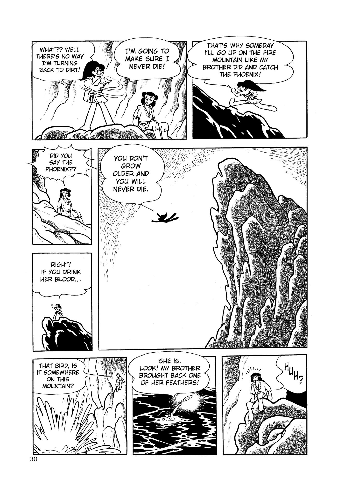 Phoenix DAWN 第31页
