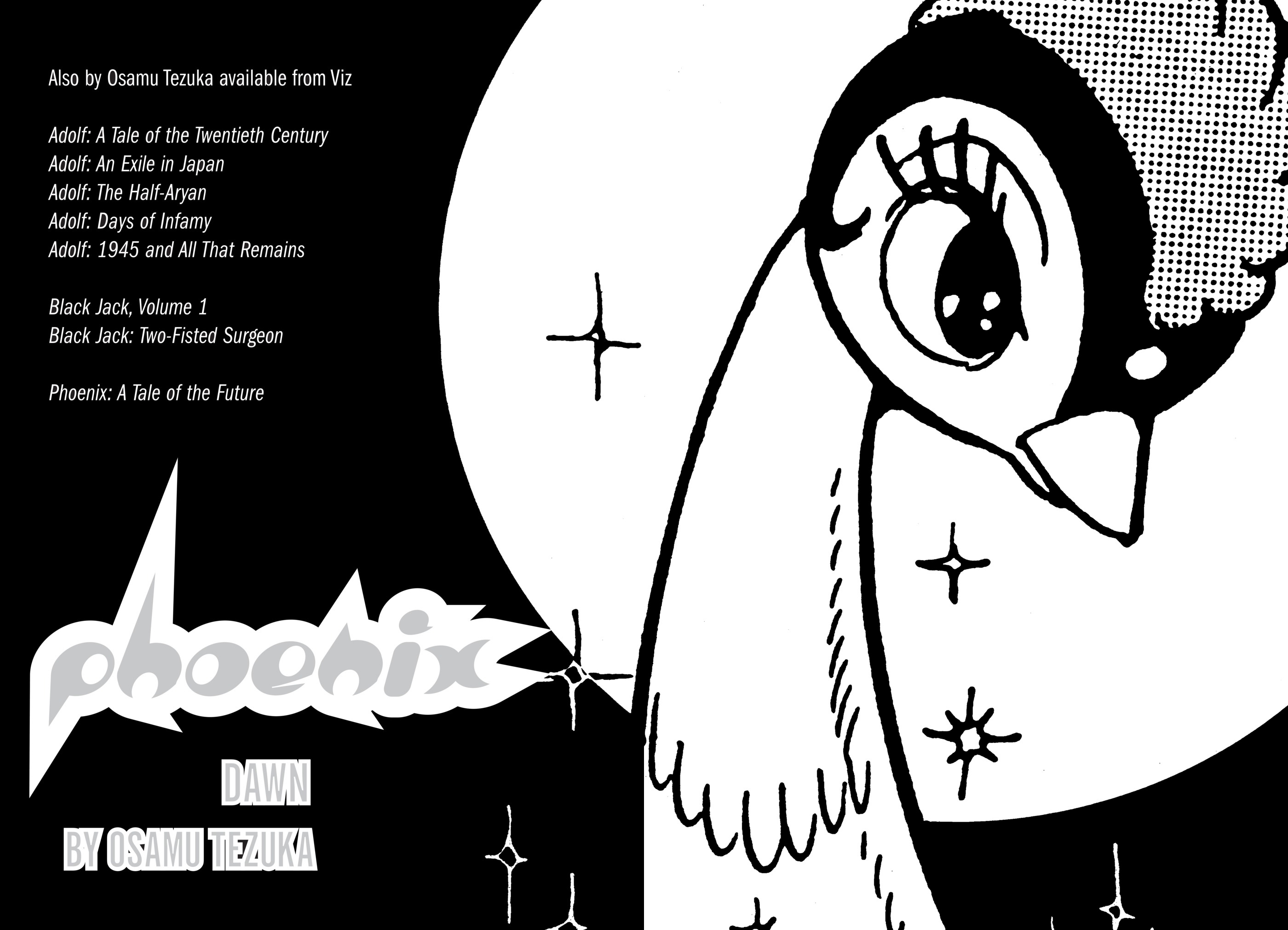 Phoenix DAWN 第6页