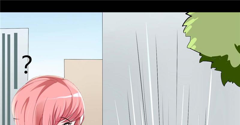 Her Super Bodyguard First Impression 第62页