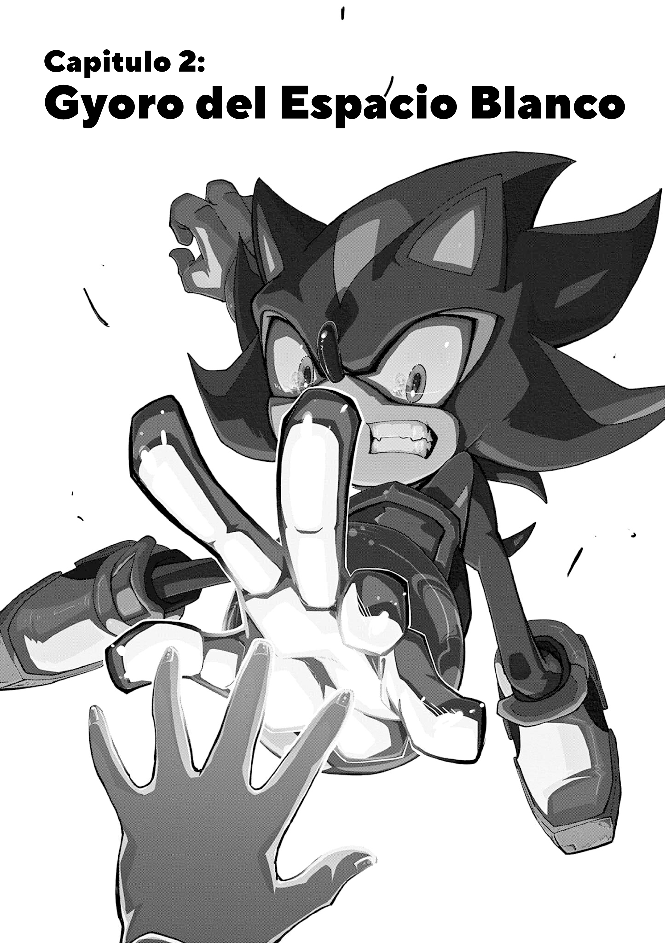 The Jet Black Hedgehog: Shadow the Hedgehog Gyoro del Espacio Blanco 第3页