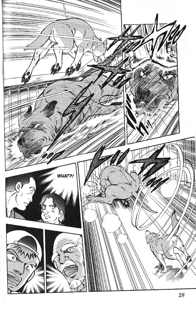 Fangs of White Lotus The Dog Fighting King of Chiba 第29页