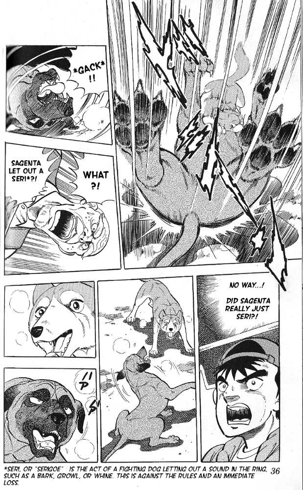 Fangs of White Lotus The Dog Fighting King of Chiba 第37页