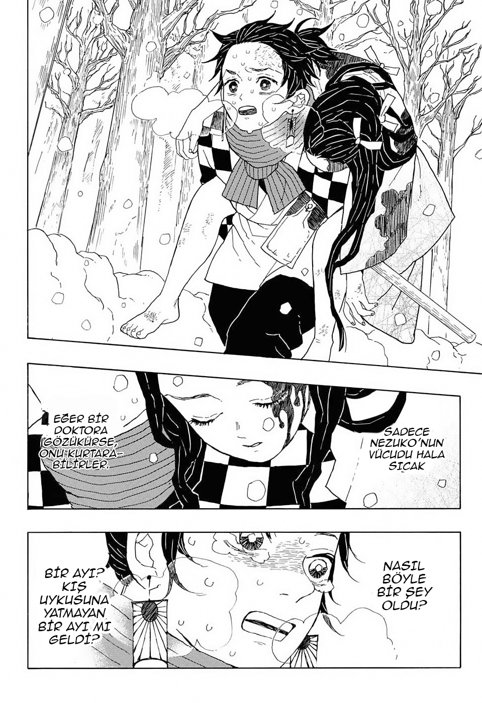 Demon Slayer: Kimetsu no Yaiba Zulüm 第17页