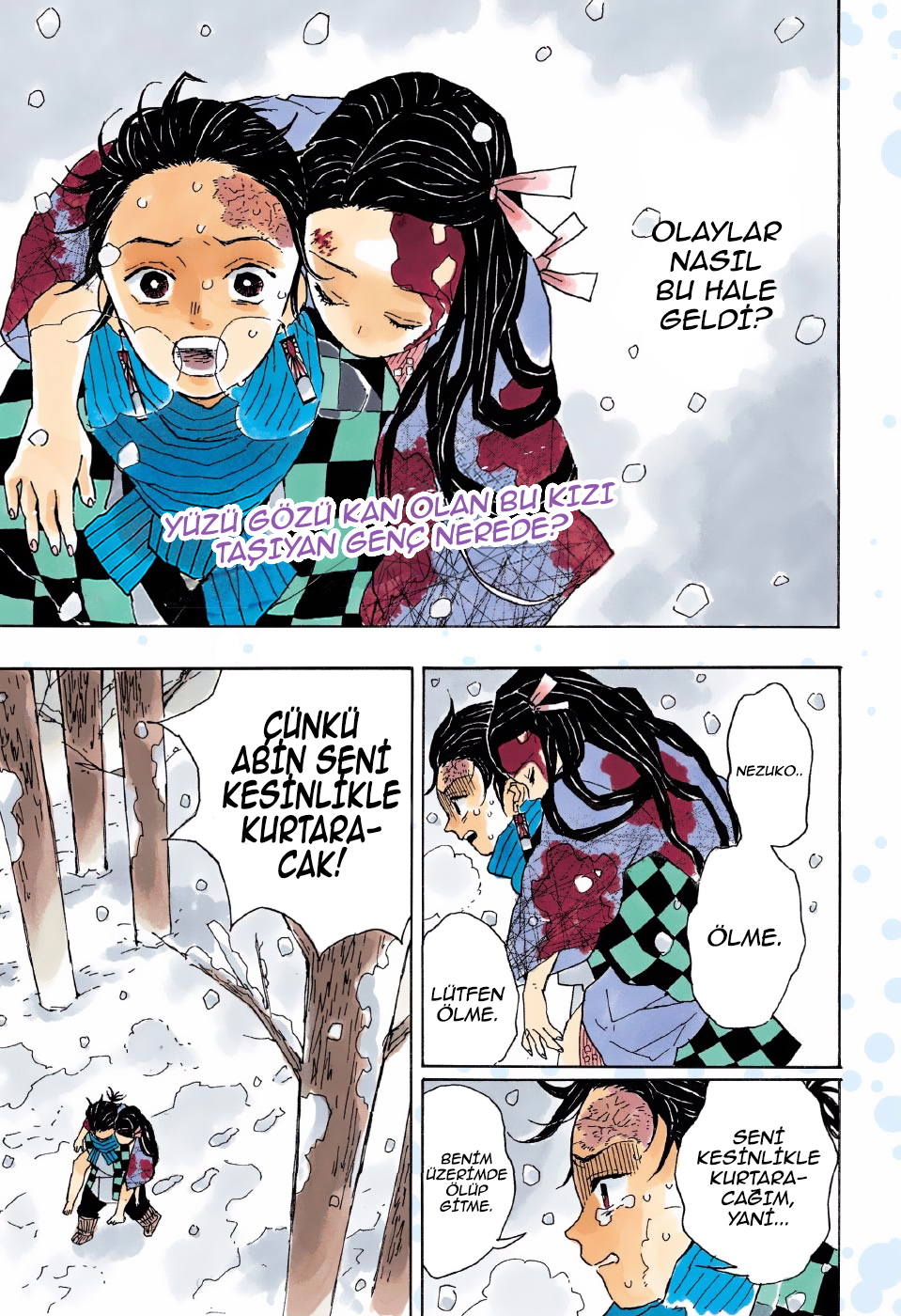 Demon Slayer: Kimetsu no Yaiba Zulüm 第4页