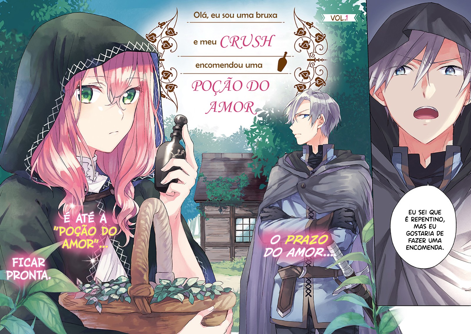 Doumo, Suki na hito ni Horegusuri wo Iraisareta Majo desu 第5页