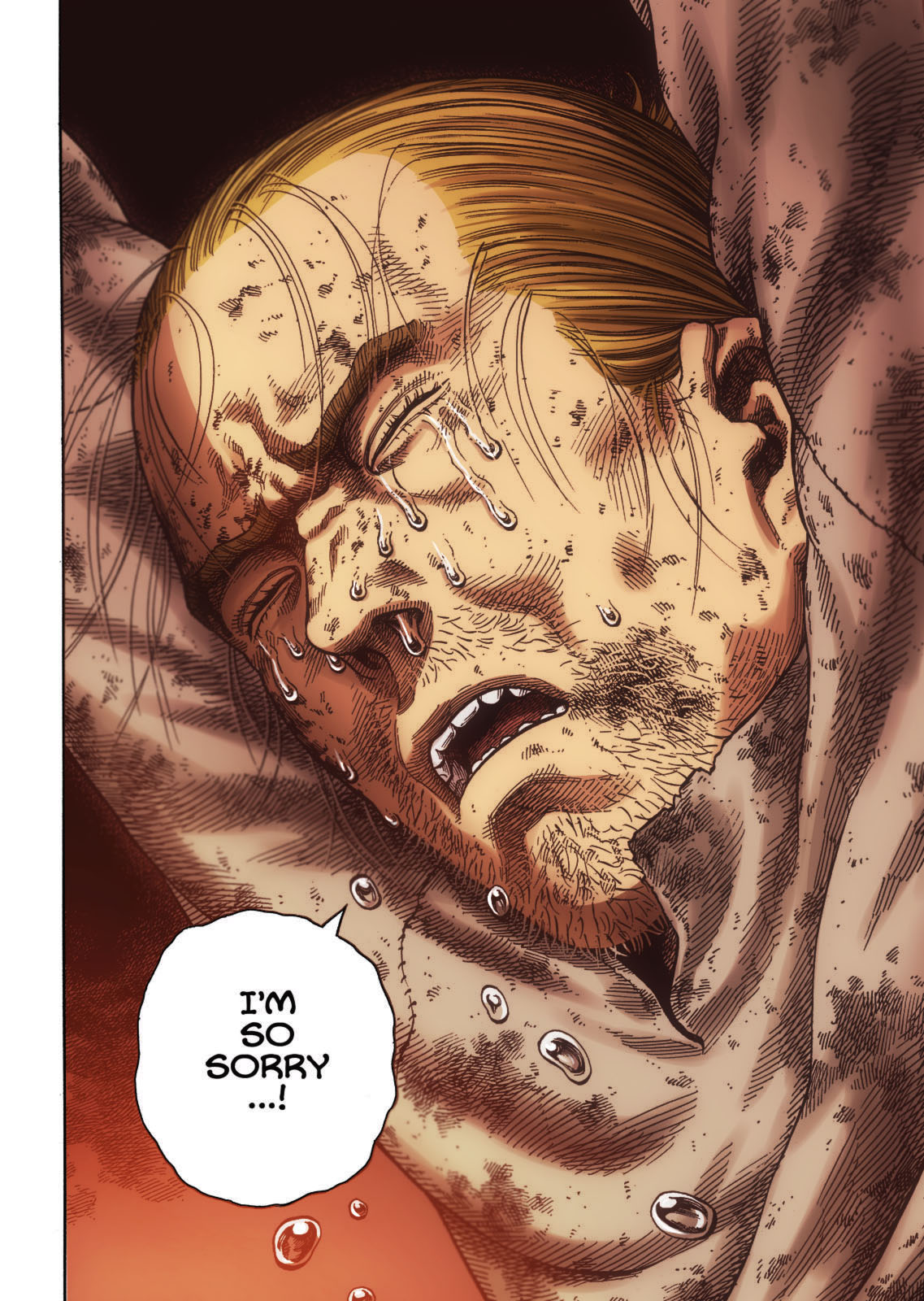 Vinland Saga (Fan-Colored) Oath 第17页