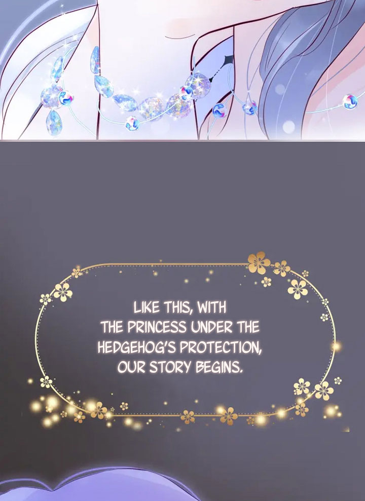 The Beauty Ran Away With the Hedgehog Crashing into Your Heart 第25页