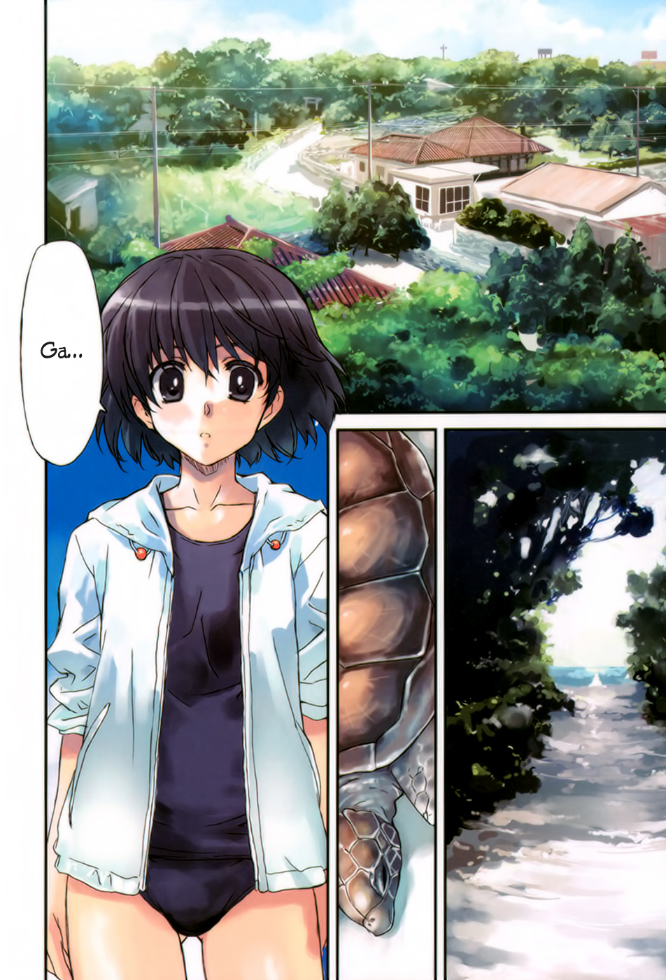Tsubame - Hidamari Shoujo Kikou Hibiscus and Ryuuguu-jou. Taketomi Island 第4页