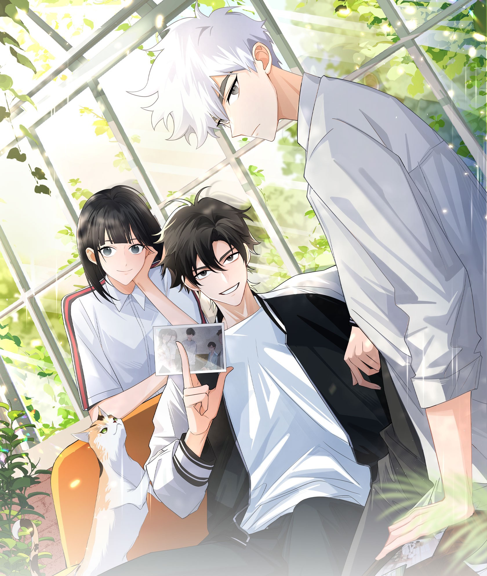 Link Click Curtains Unveil 第2页