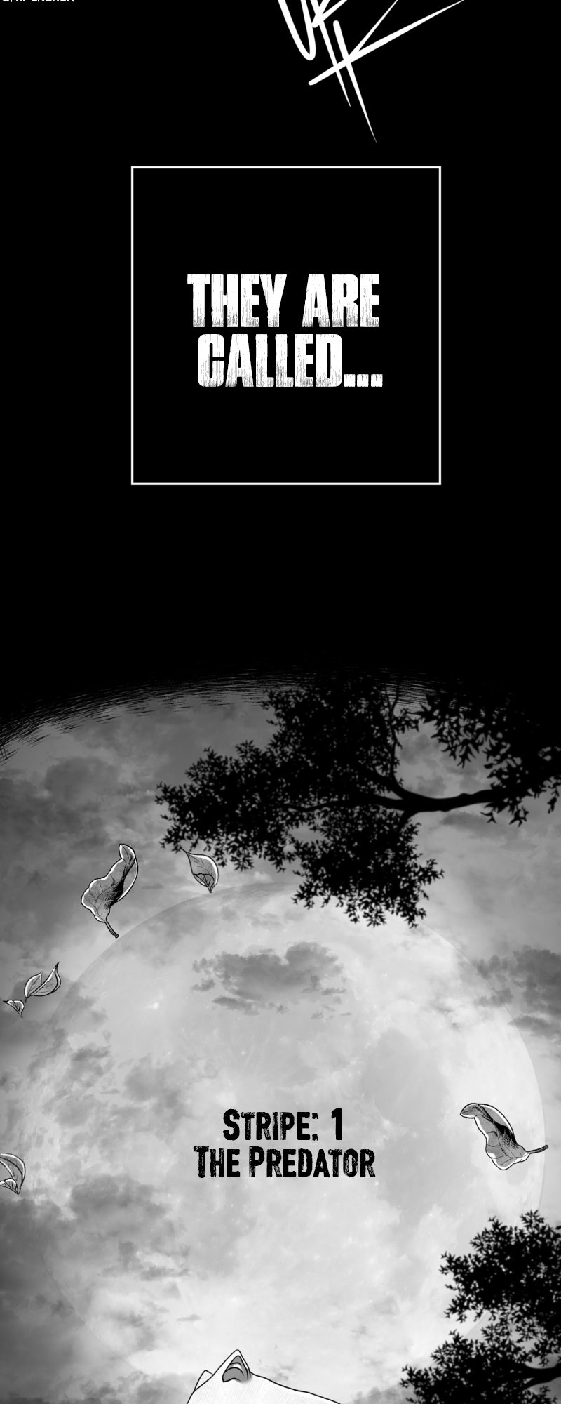 BLACK LORENG [In The Dark World] The Predator 第7页