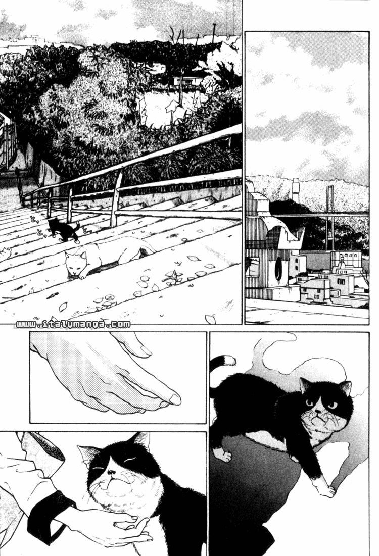 Nanase 第7页