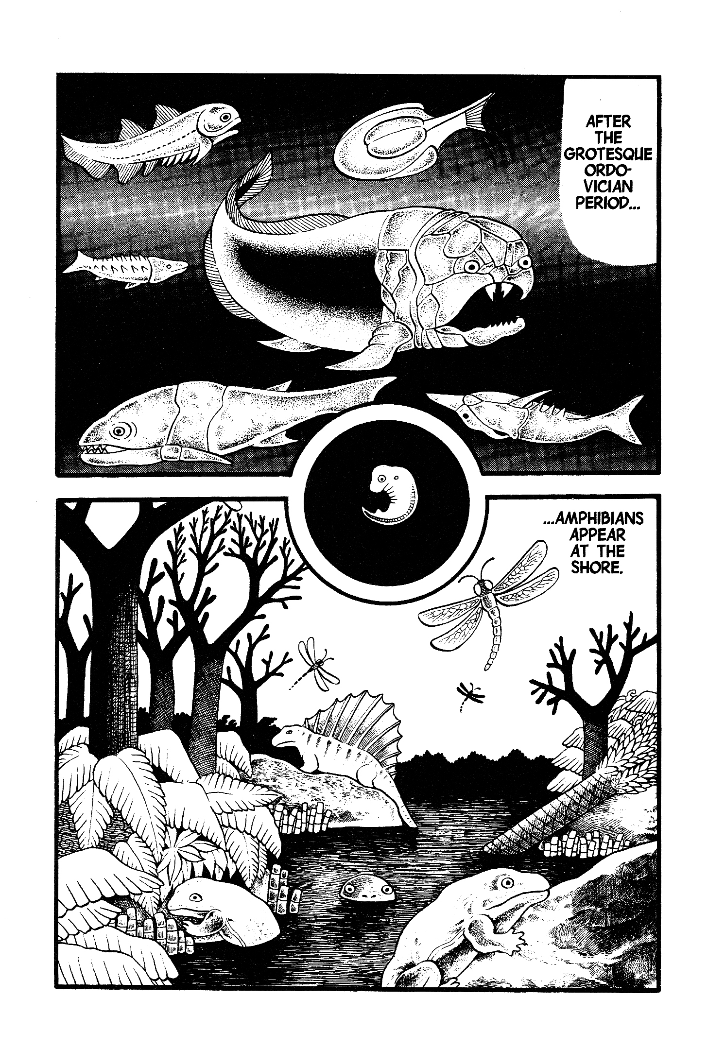 Unusual Fetus: My Baby 第7页