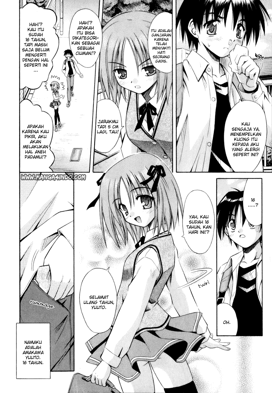 Omamori Himari Kucing, Perempuan dan Alergi 第7页