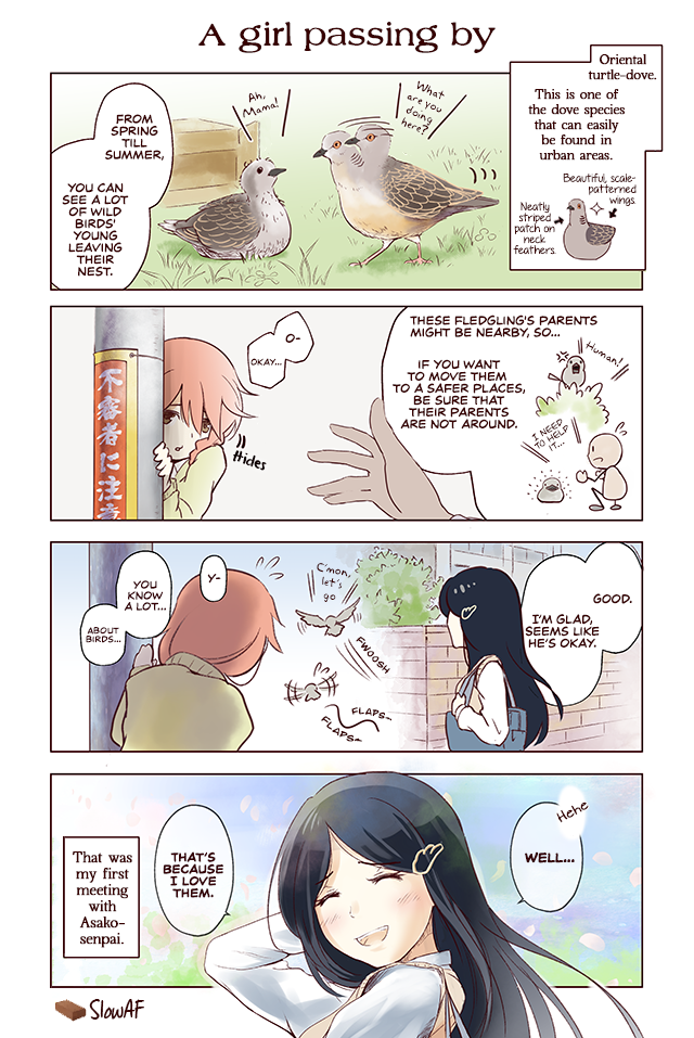 Torimibu no Takanashi-san 第6页