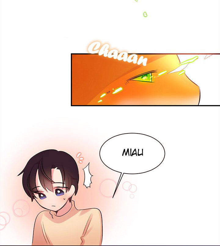 Cat in a Cardboard Box Ch. 1 第39页