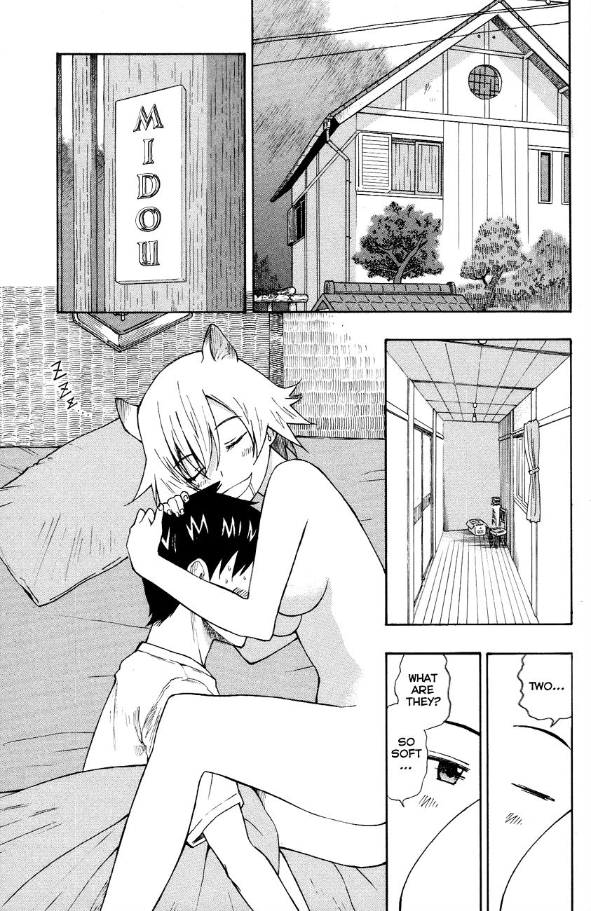 Neko Ane Stepping Out 第1页