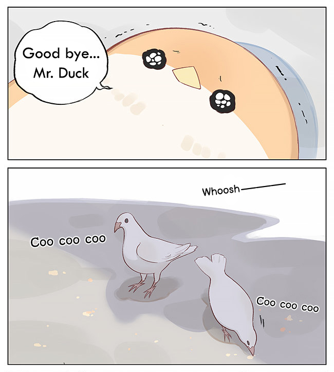 Southern Bird and Northern Bird Foraging 第3页