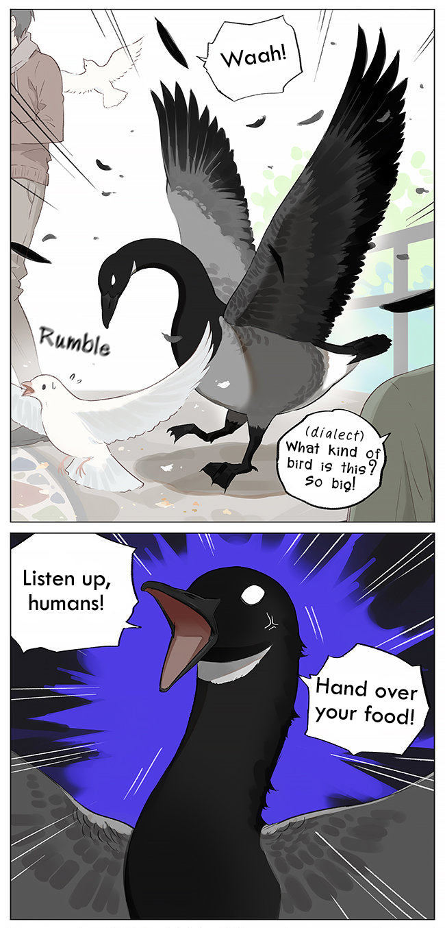 Southern Bird and Northern Bird Foraging 第4页