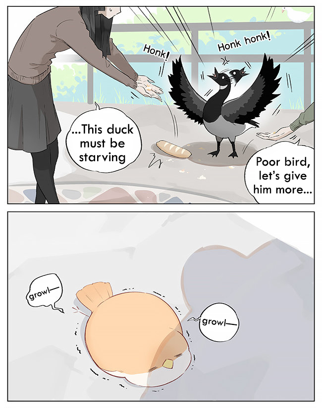Southern Bird and Northern Bird Foraging 第5页