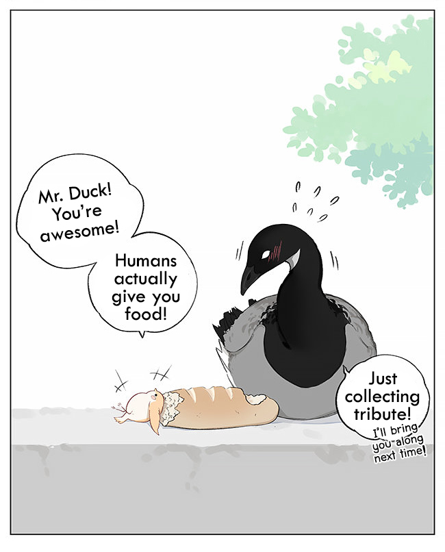 Southern Bird and Northern Bird Foraging 第7页