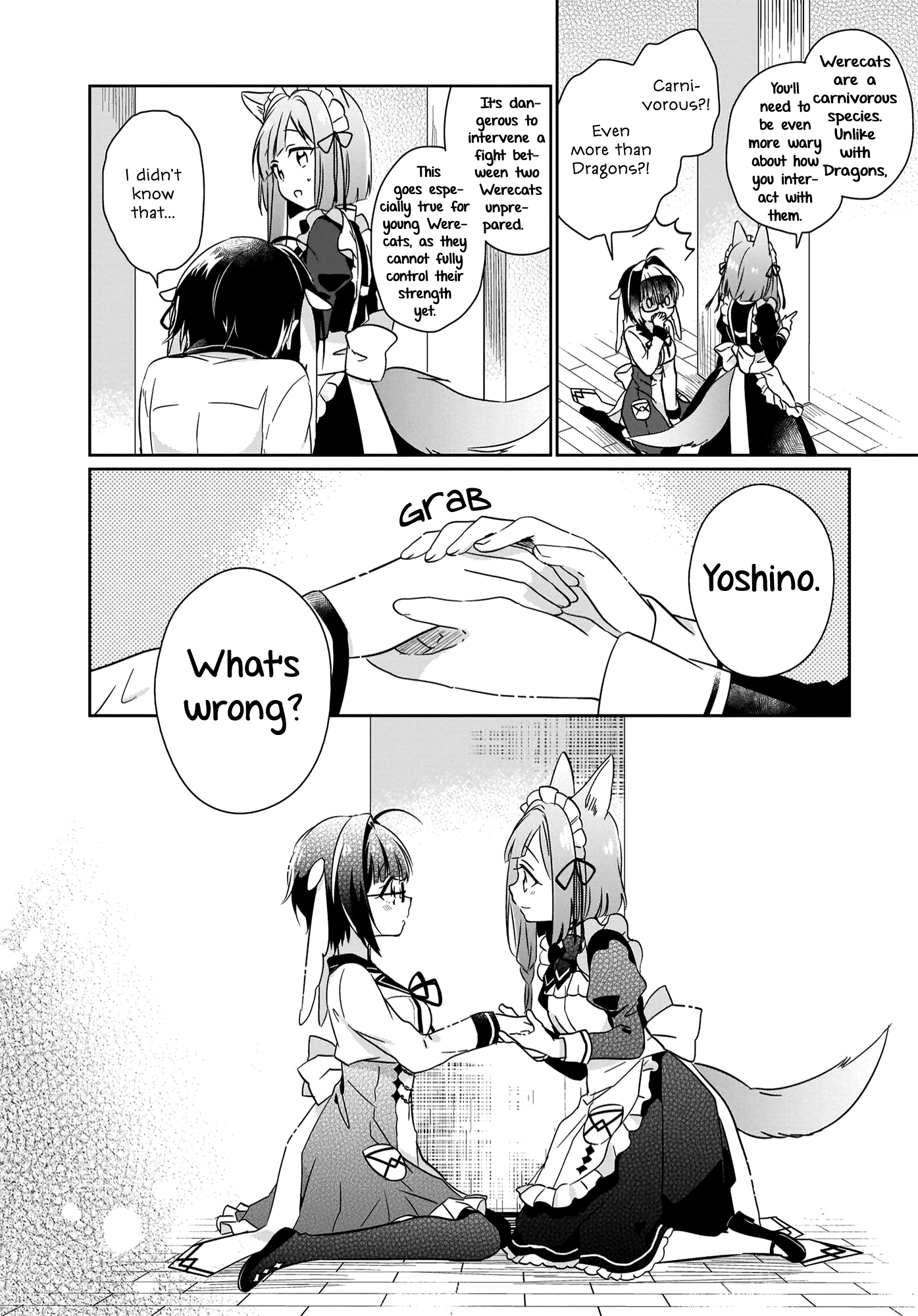 The Lost Children's Desk in Another World Compromise & Werecat 第8页