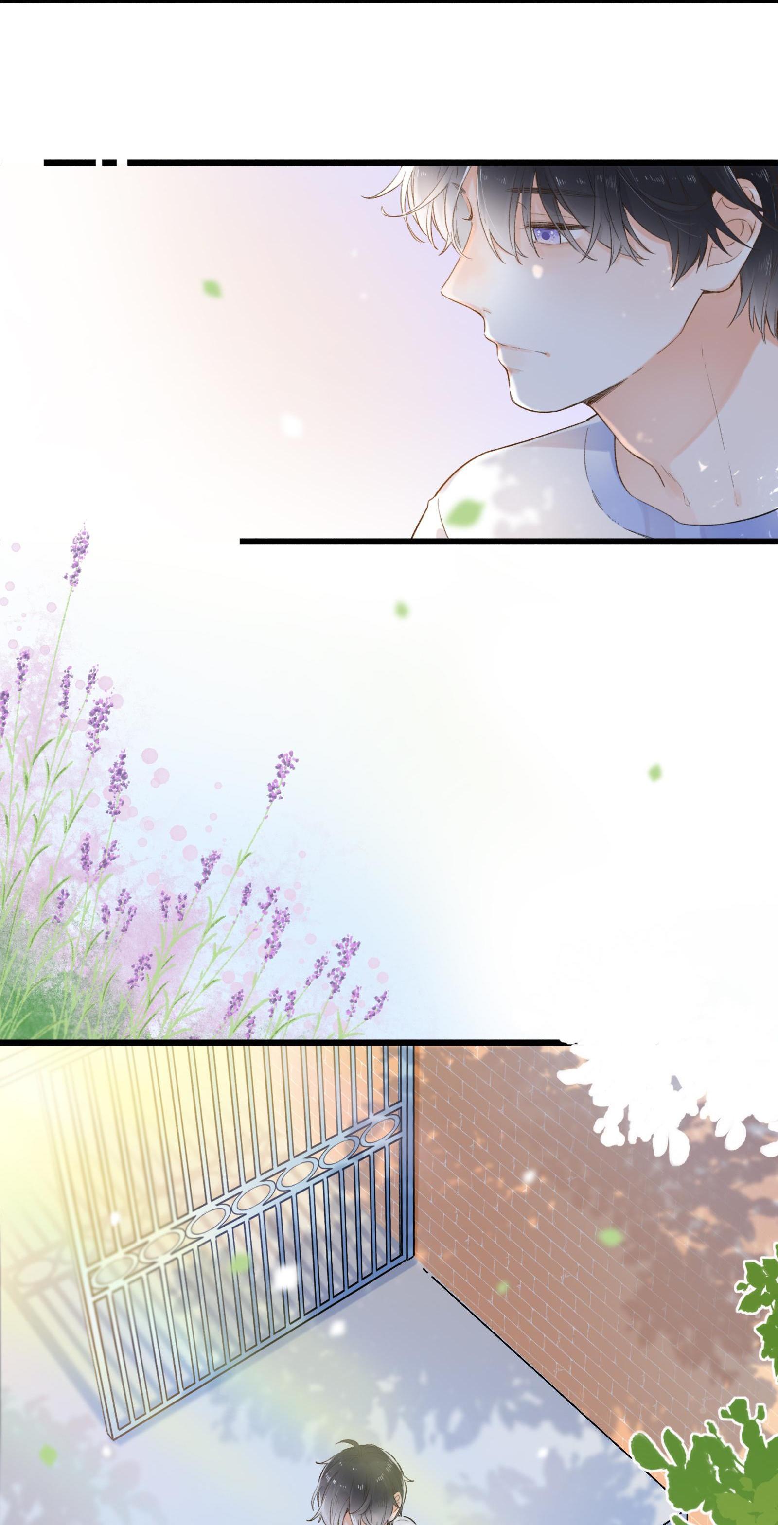 The Drifting Star You’re Blushing~ 第31页