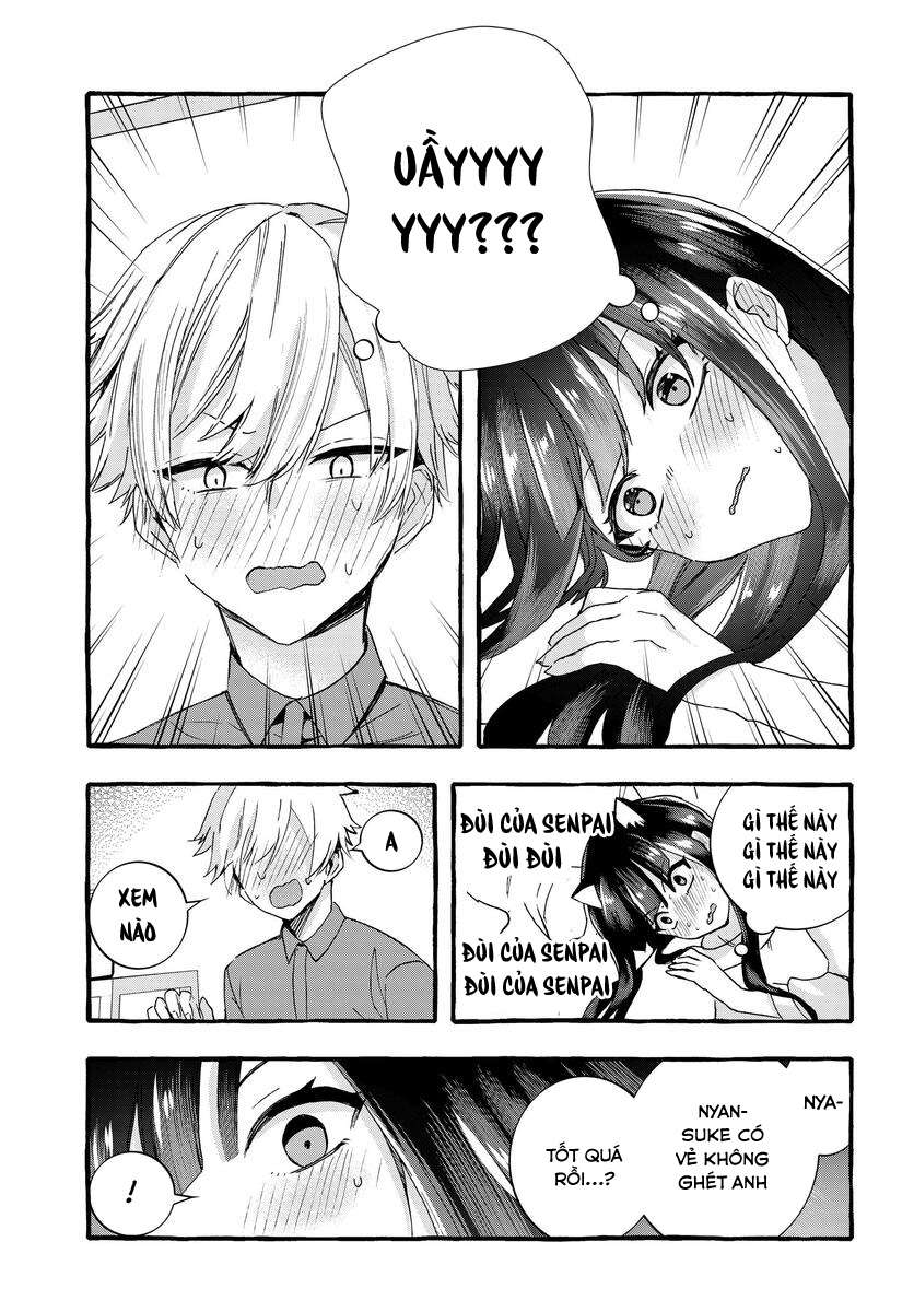The Cold Beauty At School Became My Pet Cat Vol. 1 Ch. 3 第11页