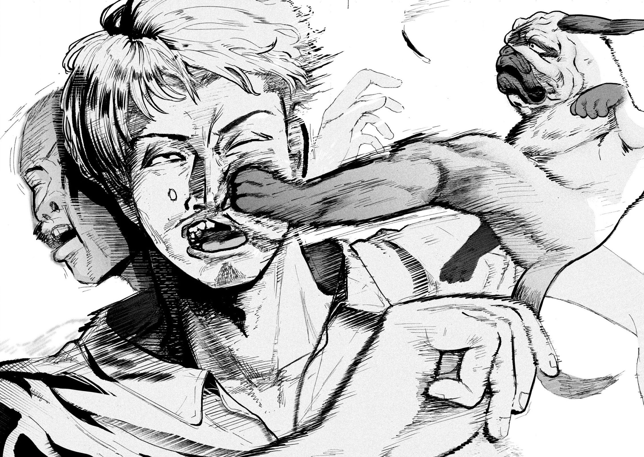 INNU Tình cờ gặp được một chú chó 第17页