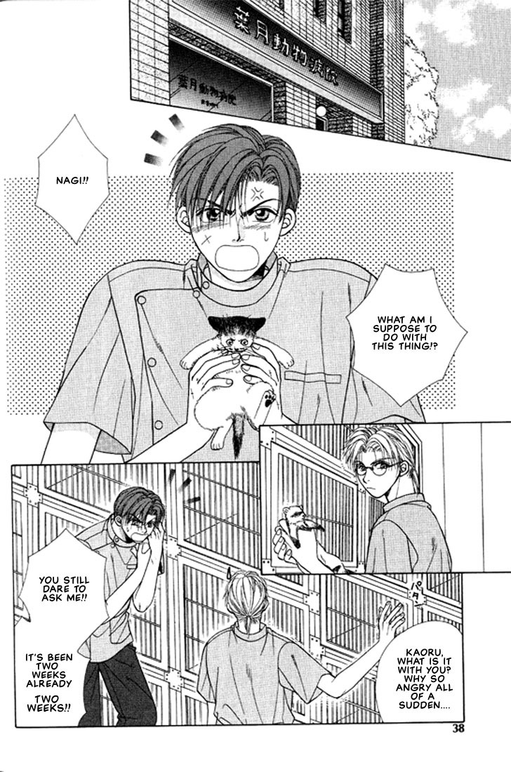Shiawase no Level Vol. 1 Ch. 2 第3页