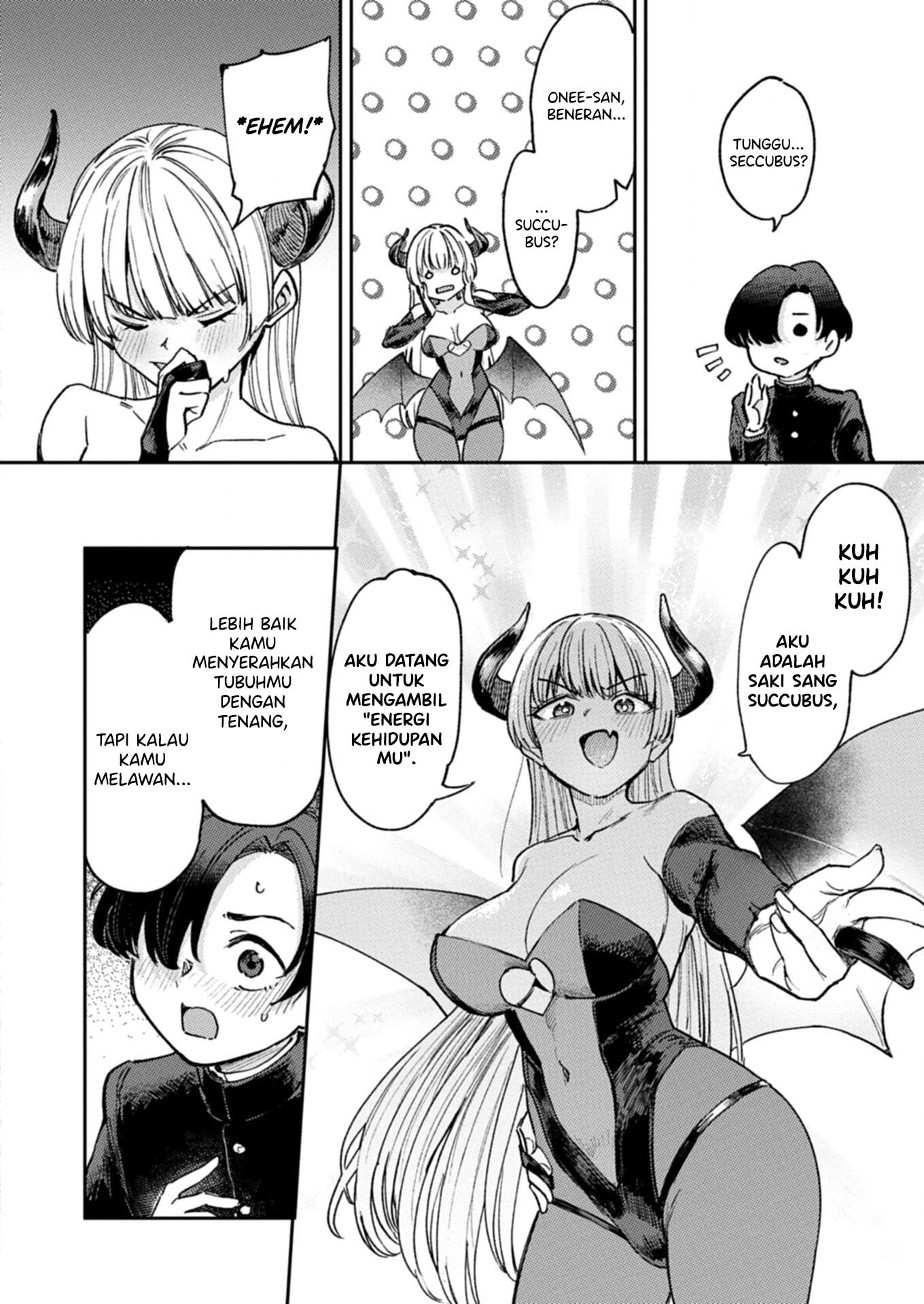 Keppeki Succubus wa ××× ga Okirai Succubus Datang 第13页