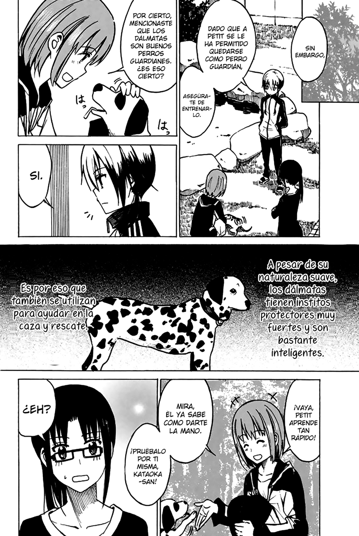 Petit Petit Tantan Petit Tantan Gafas a rayas 第4页