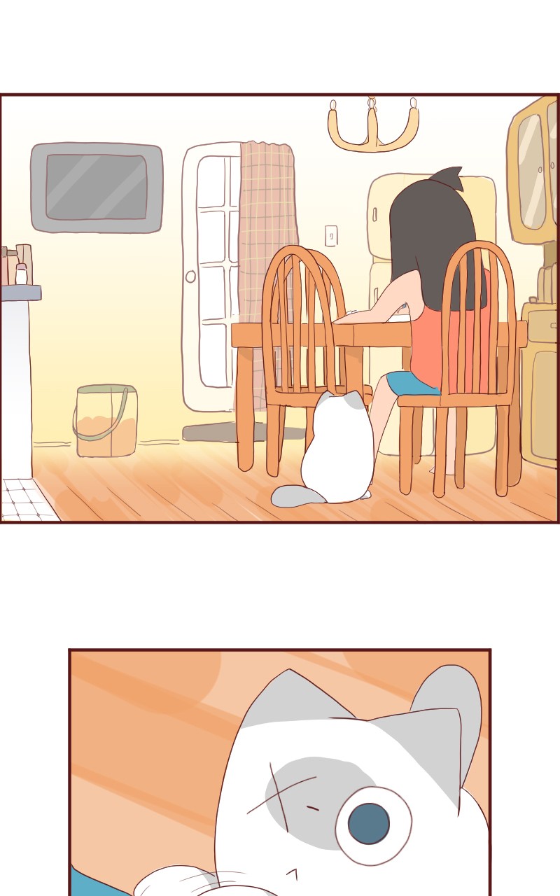 Saphie: The One-Eyed Cat Ch. 6 第2页