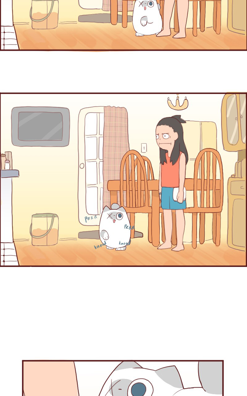 Saphie: The One-Eyed Cat Ch. 6 第9页