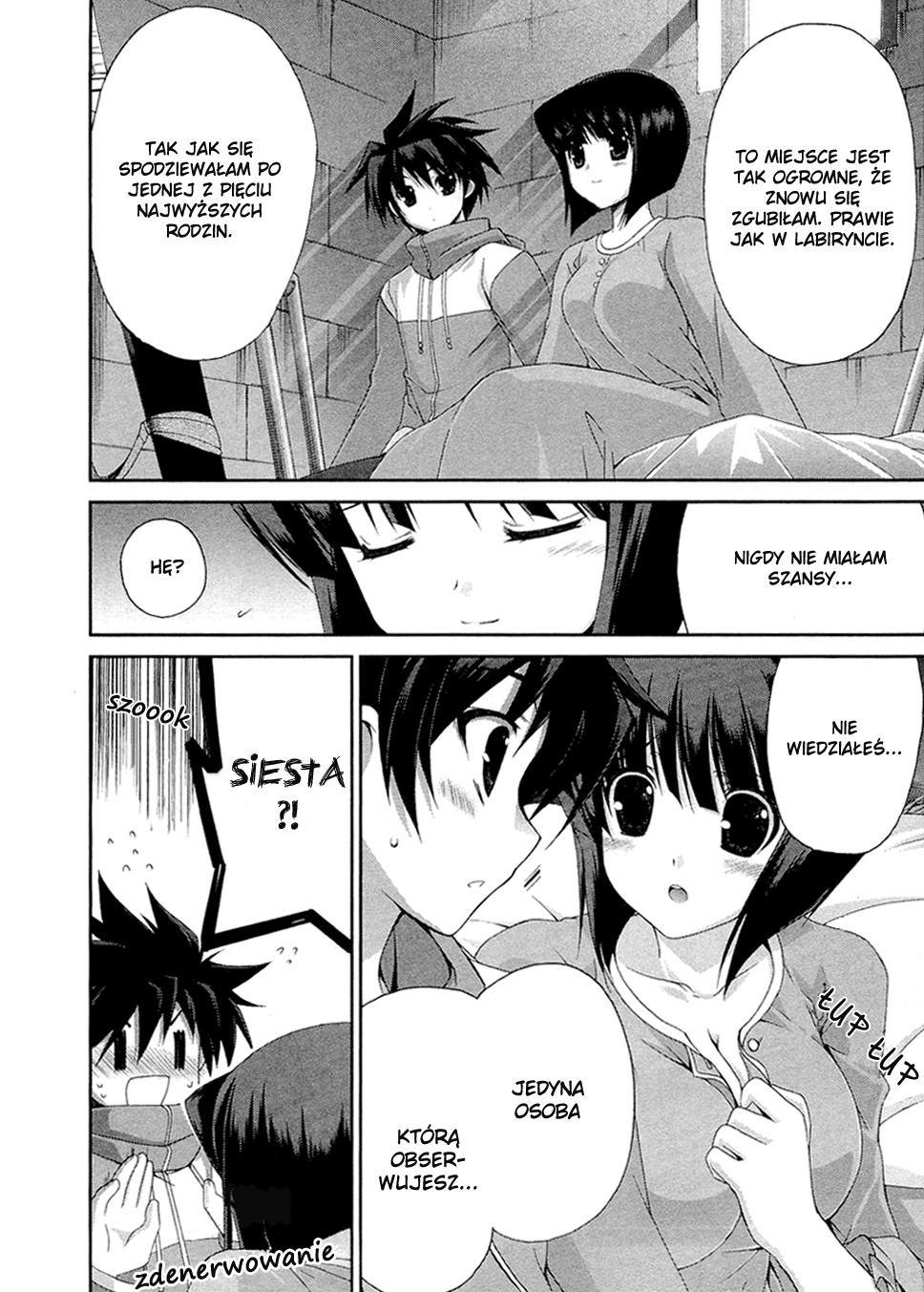 Zero no Tsukaima Chevalier Powrót do domu 第21页