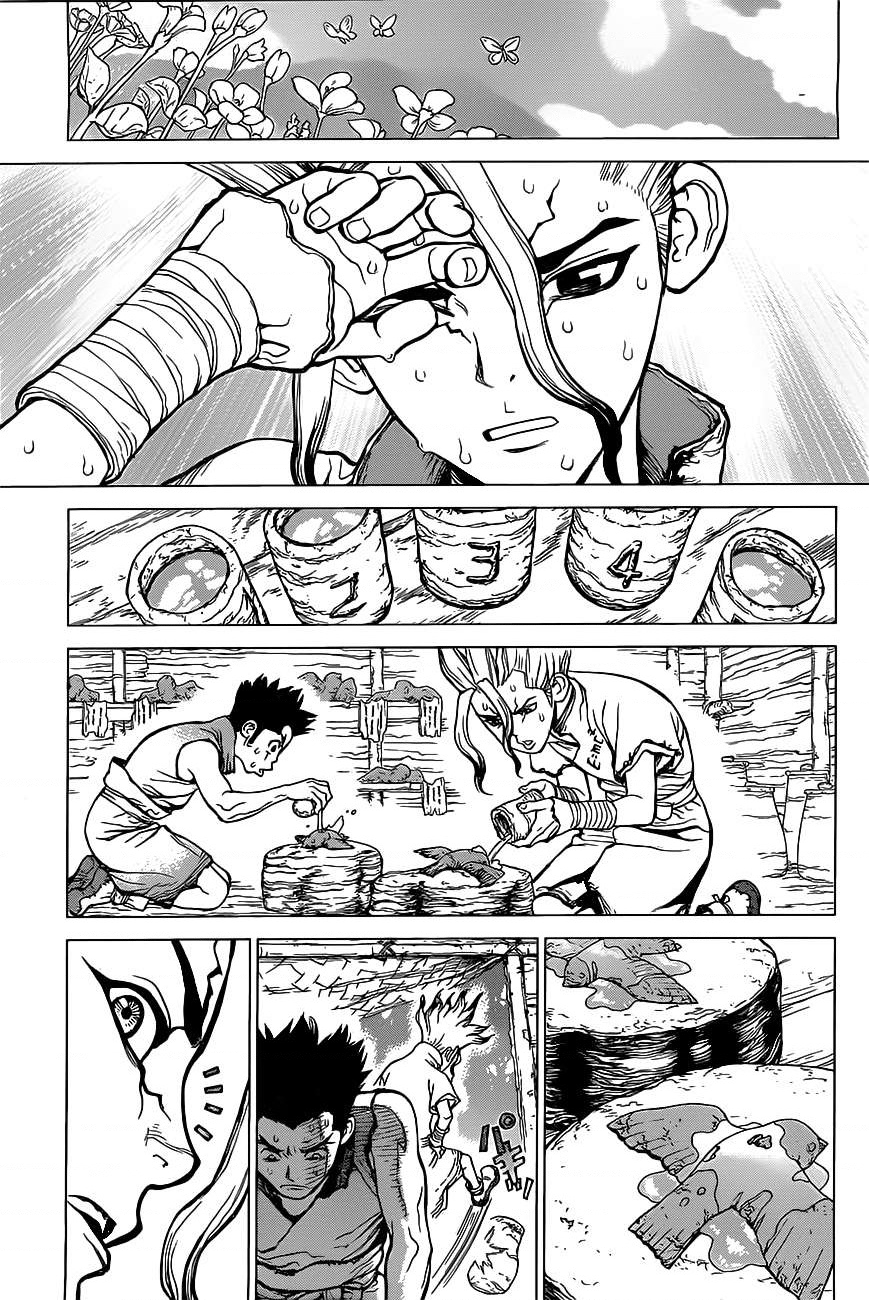 Dr.STONE Vol. 1 Ch. 2 第20页