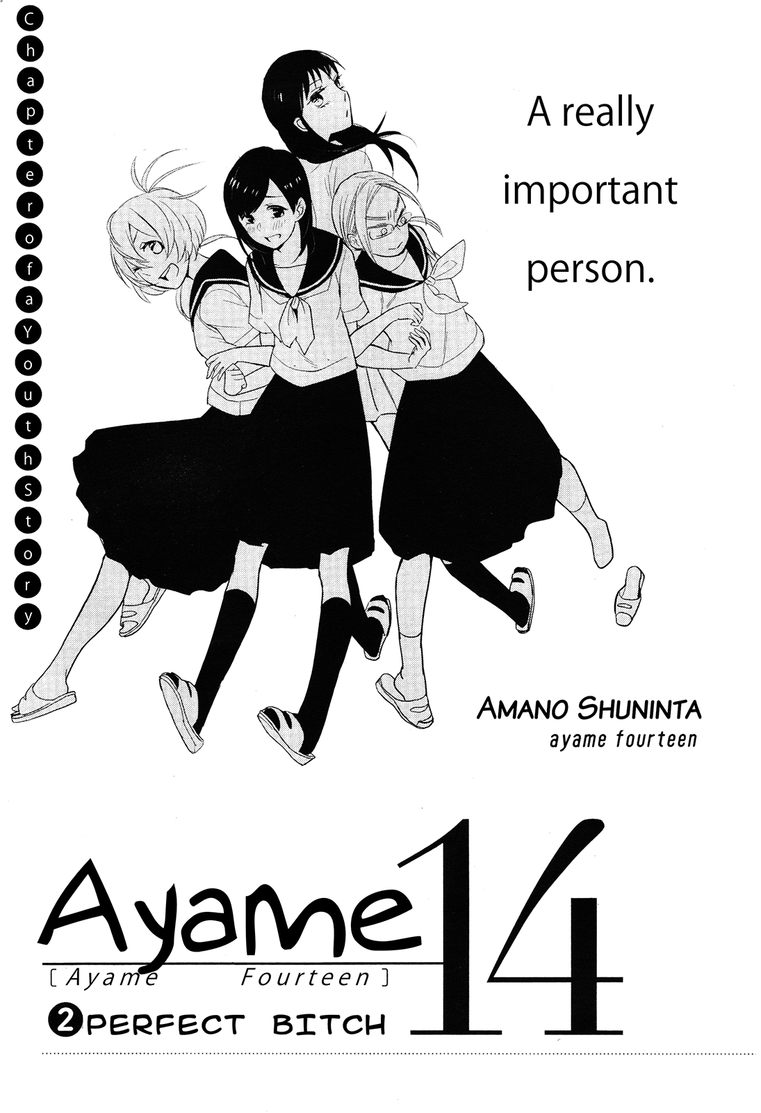 Ayame 14 Perfect Bitch 第1页