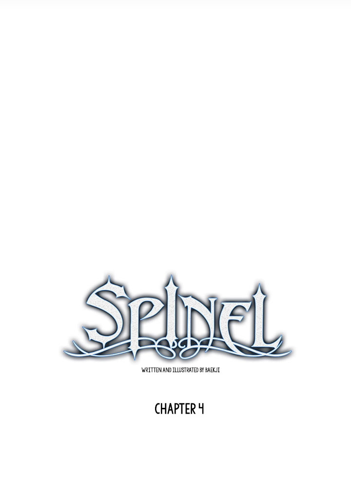 Spinel Ch. 4 第14页
