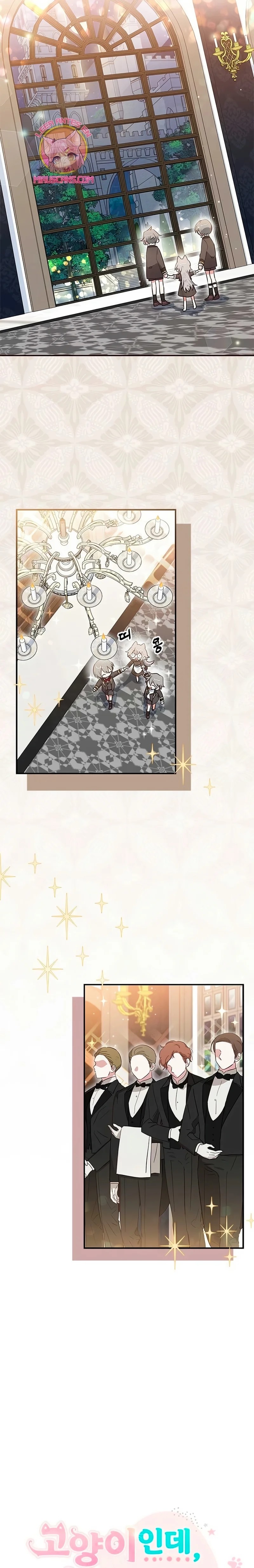 A Cat, Adopted by a Wolf Family? Ch. 2 第9页