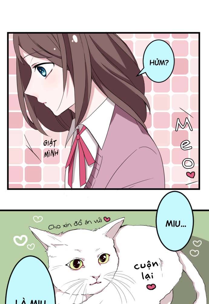 Usami's Little Secret! Hóa ra Usami là...!？ 第31页