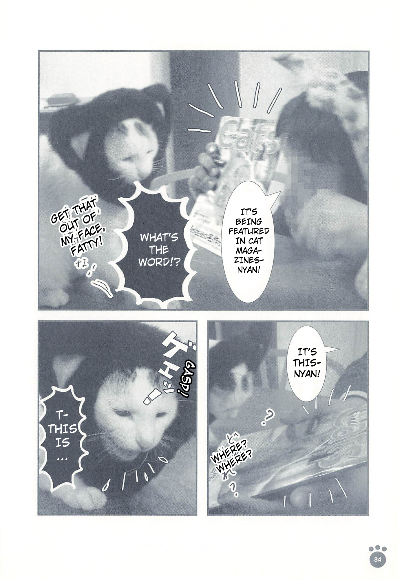 Sukeban Shachou Rena Company Regulations 第3页