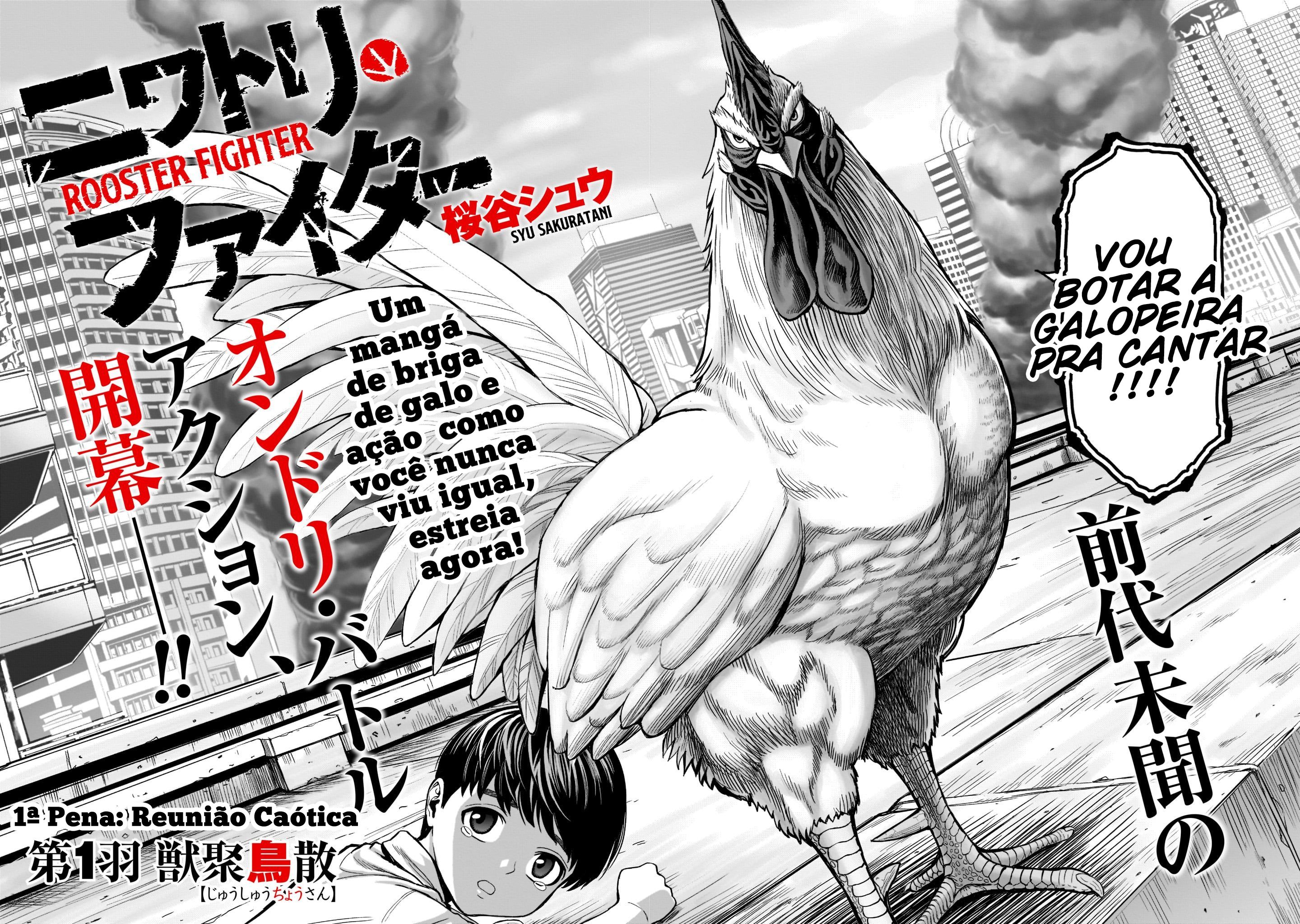 Niwatori Fighter 1ª Pena: Reunião Caótica 第6页